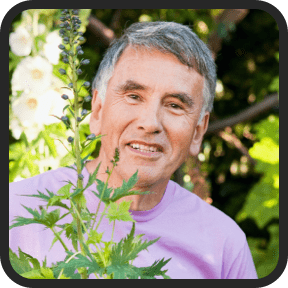 Dentitox Pro Real Review